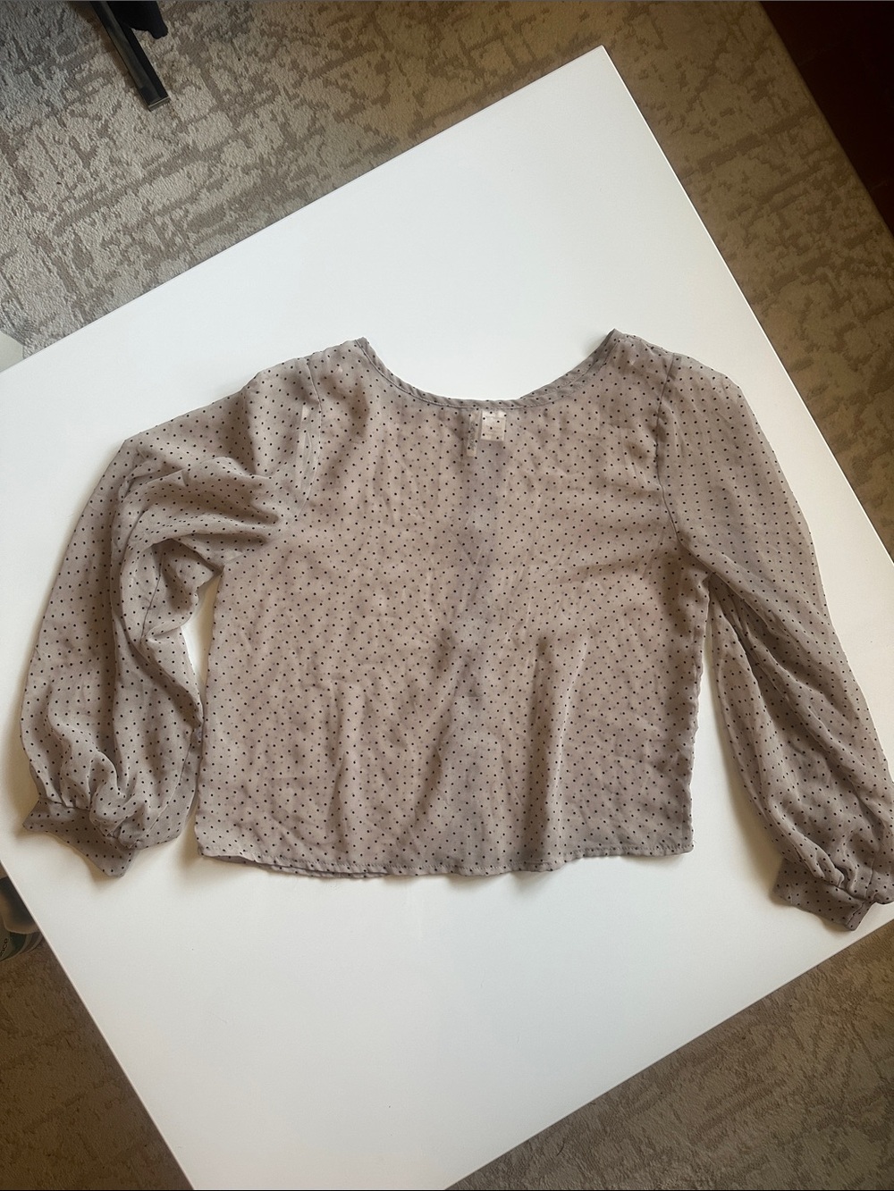 Passport Taupe Sheer Polka Dot Long Sleeve Blouse